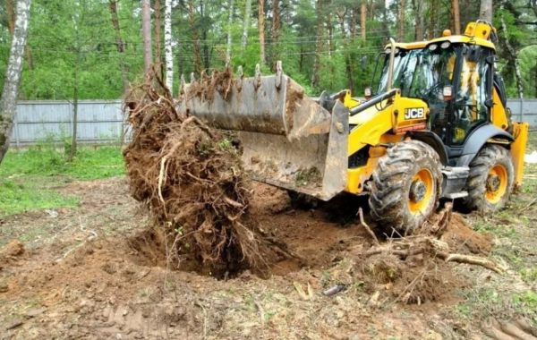 Удаление пней и корчевание вручную и со спецтехникой - Биробиджан, цены, предложения специалистов