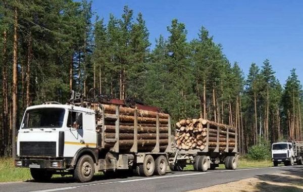 Лесовозы для перевозки леса, аренда и услуги. - Биробиджан, заказать или взять в аренду