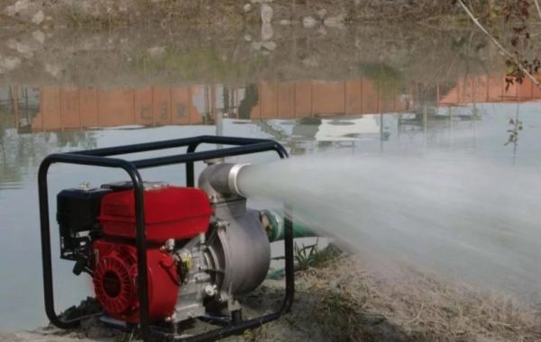 FUBAG PG 950T - Биробиджан, заказать или взять в аренду