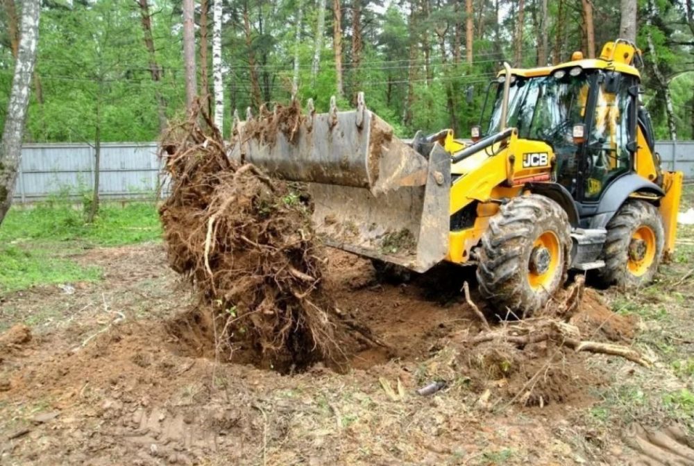 Удаление пней и корчевание вручную и со спецтехникой стоимость услуг и где заказать - Биробиджан