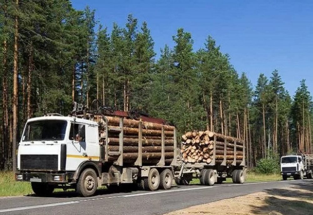 Лесовоз Лесовозы для перевозки леса, аренда и услуги. взять в аренду, заказать, цены, услуги - Биробиджан