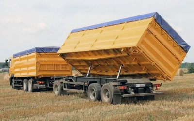 Услуги зерновозов для перевозки зерна - Биробиджан, цены, предложения специалистов